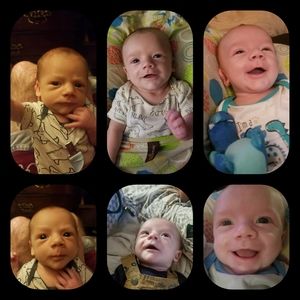 Meet your Posher, Van